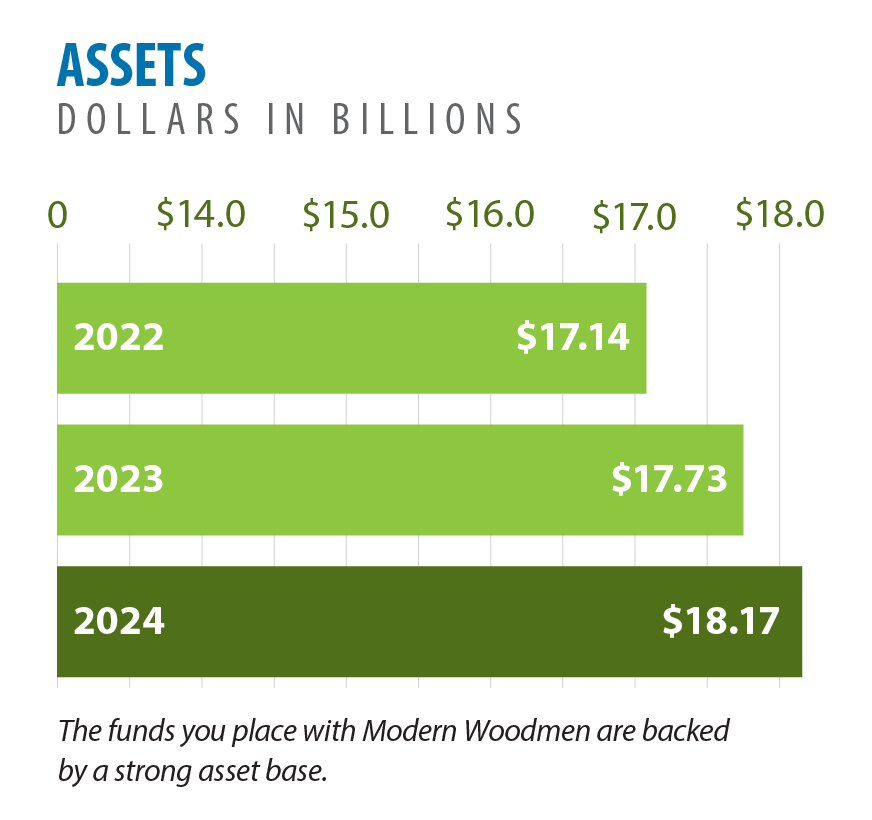 Growth in assets_2024.png